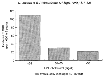 Gerd Assman HDL Slide 1996