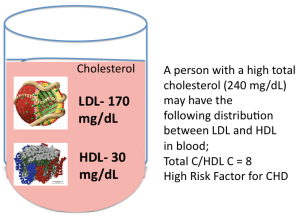 LDL and HDL in Blood