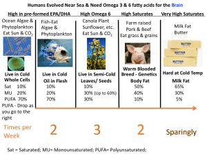 Food Sources for Lipids